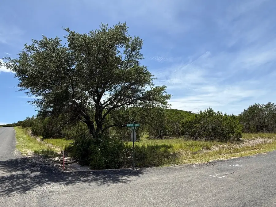 Lot 249 Woodhollow Dr, Bertram, TX 78605 - Image #2