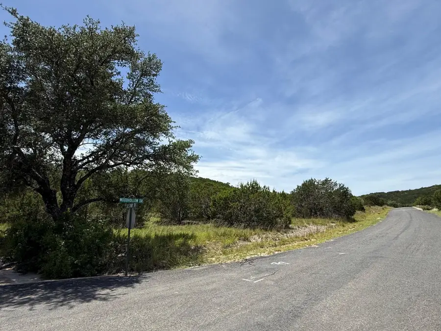 Lot 249 Woodhollow Dr, Bertram, TX 78605 - Image #3