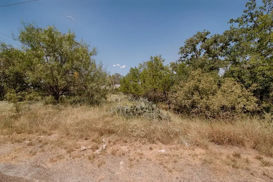 TBD E Briarway Drive, Granite Shoals, TX 78654 - Image #3