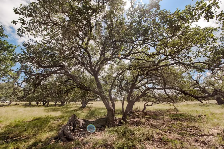 Lot 124 Oryx View Drive, Harper, TX 78631 - Image #2
