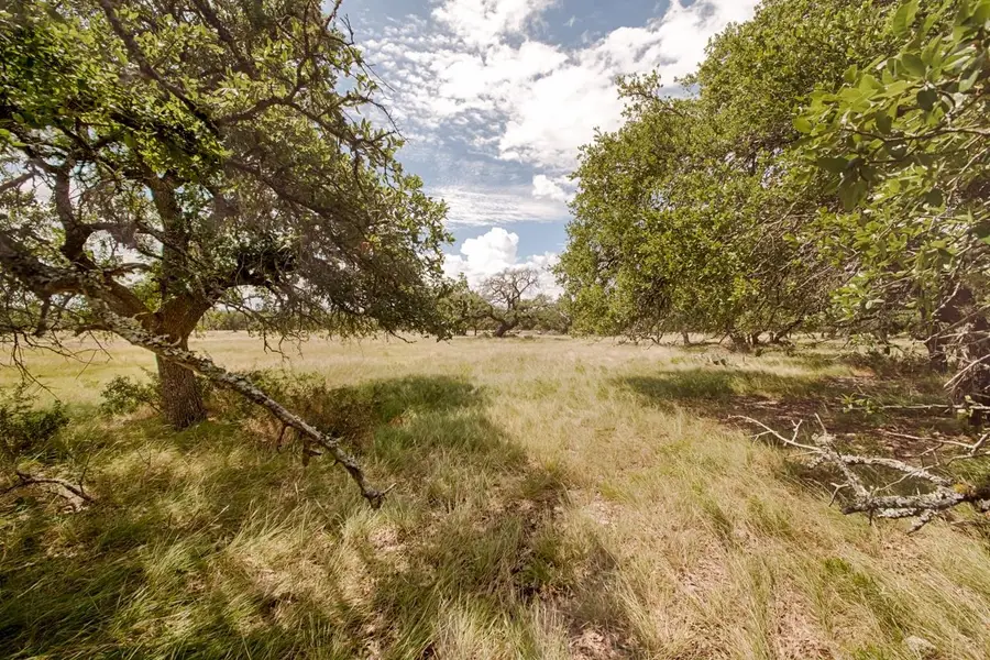 Lot 124 Oryx View Drive, Harper, TX 78631 - Image #3