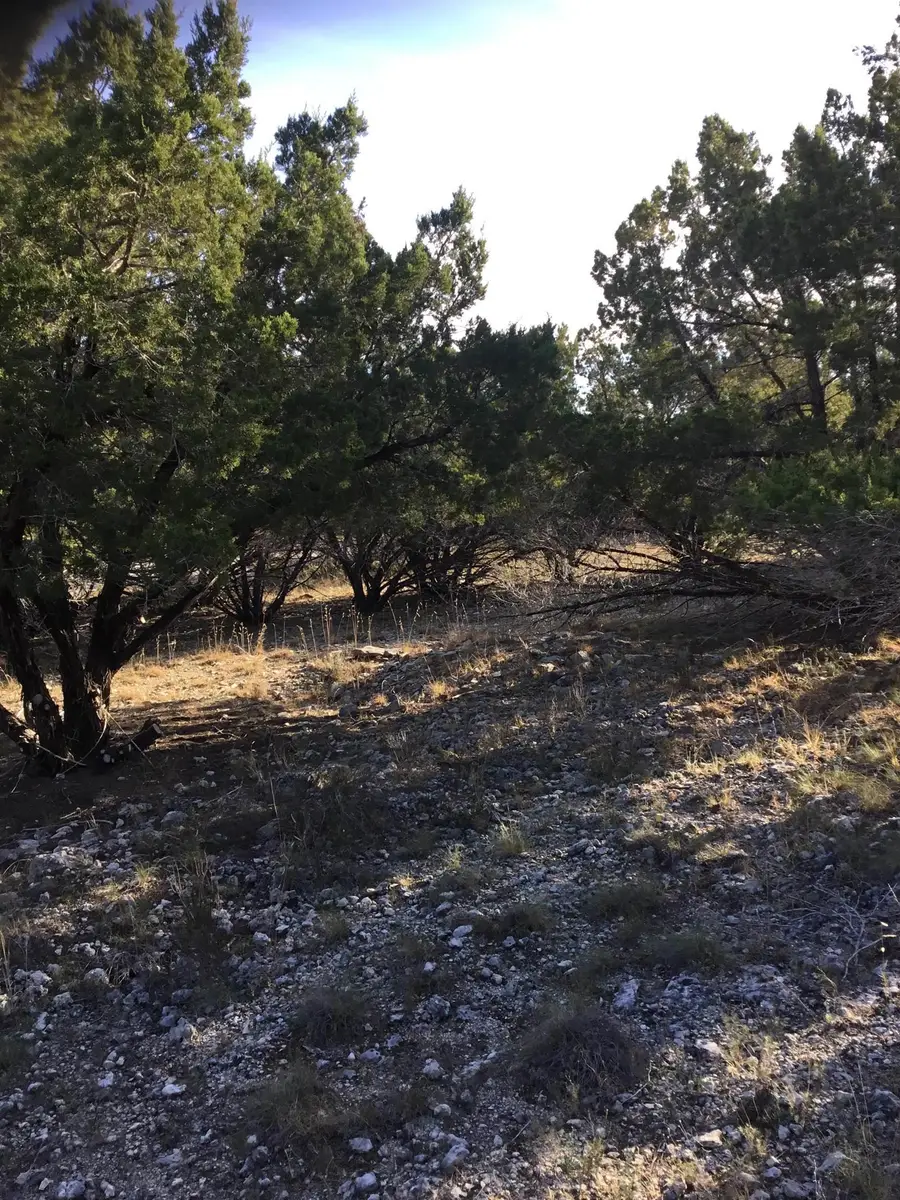 2502 Hancock Avenue, Lago Vista, TX 78645 - Image #3