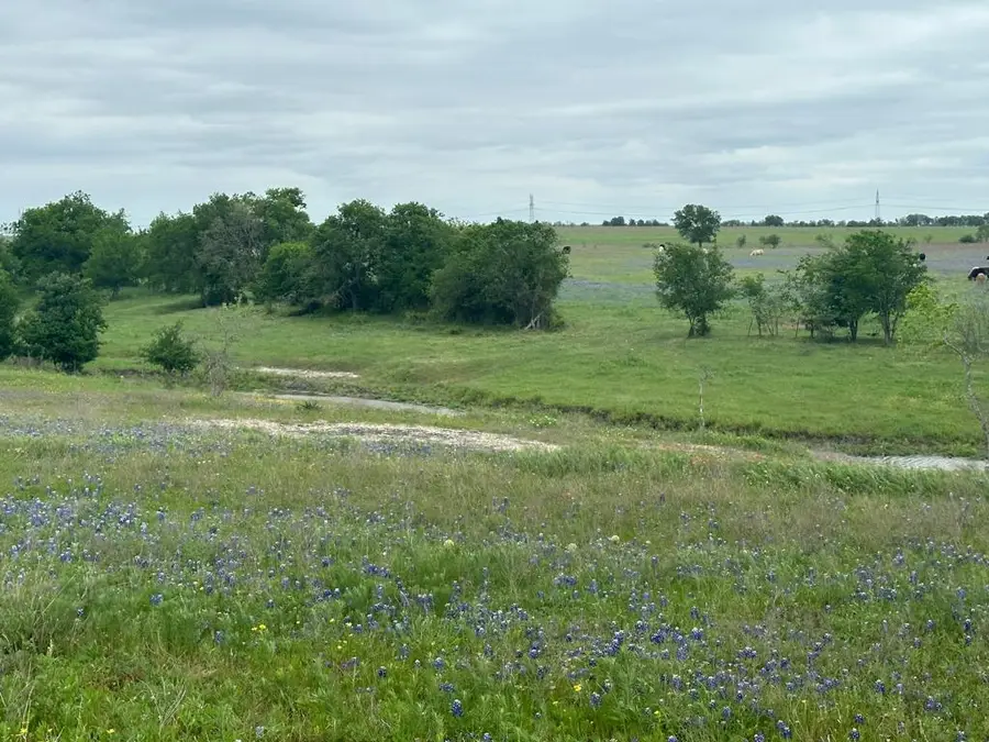 TBD Hackberry Road, Salado, TX 76571 - #3