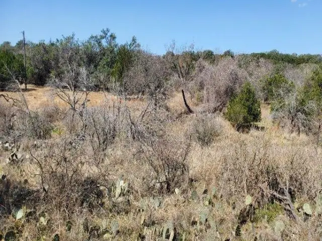 Lot 10203 Lilley Langtry, Horseshoe Bay, TX 78657-0000 - Image #3