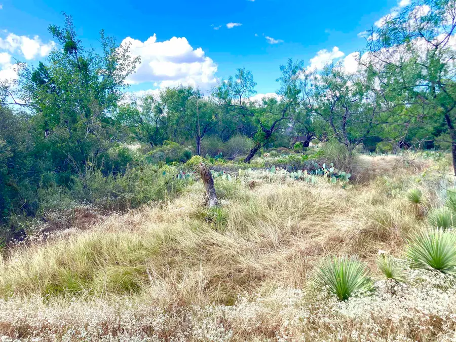 Lots 543 & 544 Hilldale, Granite Shoals, TX 78654 - Image #3