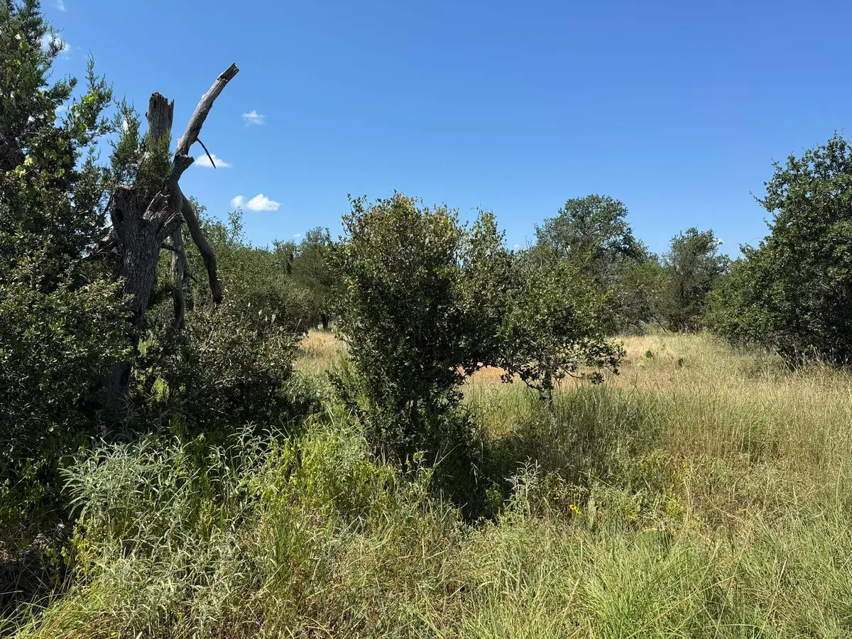 000 Zuleme, Burnet, TX 78611 - Image #1