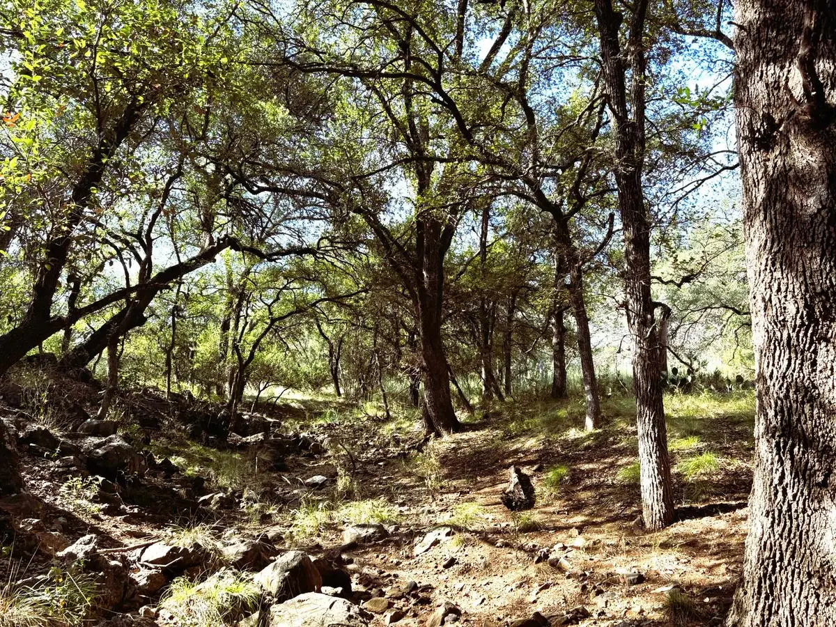 378 Sandy Mountain, Sunrise Beach Village, TX 78643 - #1