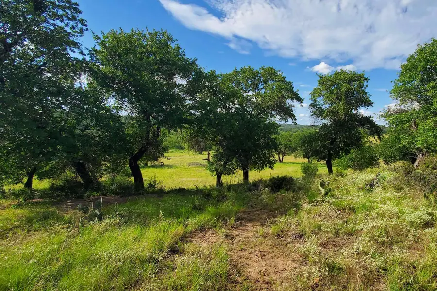 TBD Cr 411b, Pontotoc, TX 78689 - Image #3