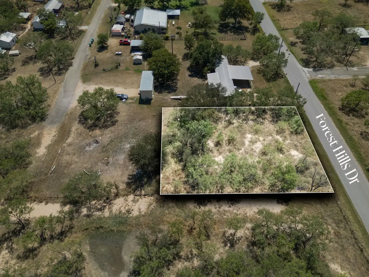 TBD Forest Hill Drive, Granite Shoals, TX 78654 - Image #1