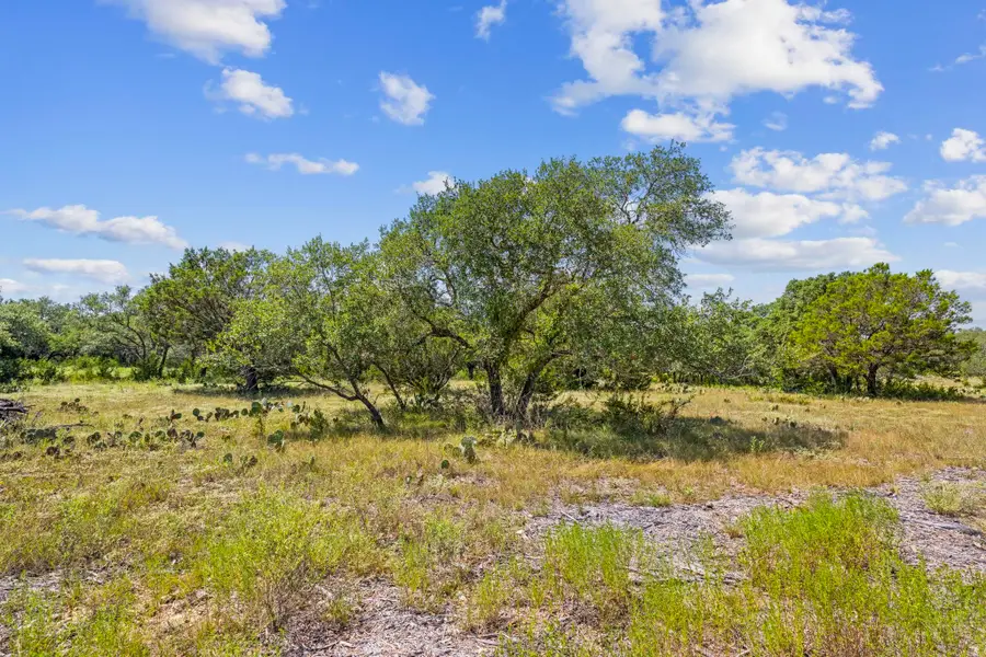 Lot 170 Heartleaf Drive, Lampasas, TX 76550 - Image #2