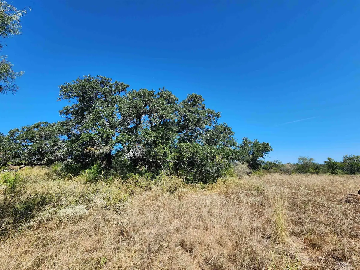 TBD W Hwy 29, Llano, TX 78643 - Image #1