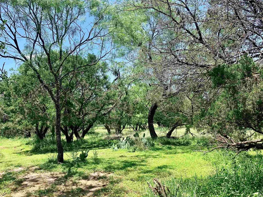 Lot 520 Aspen Lane, Cottonwood Shores, TX 78657 - Image #3