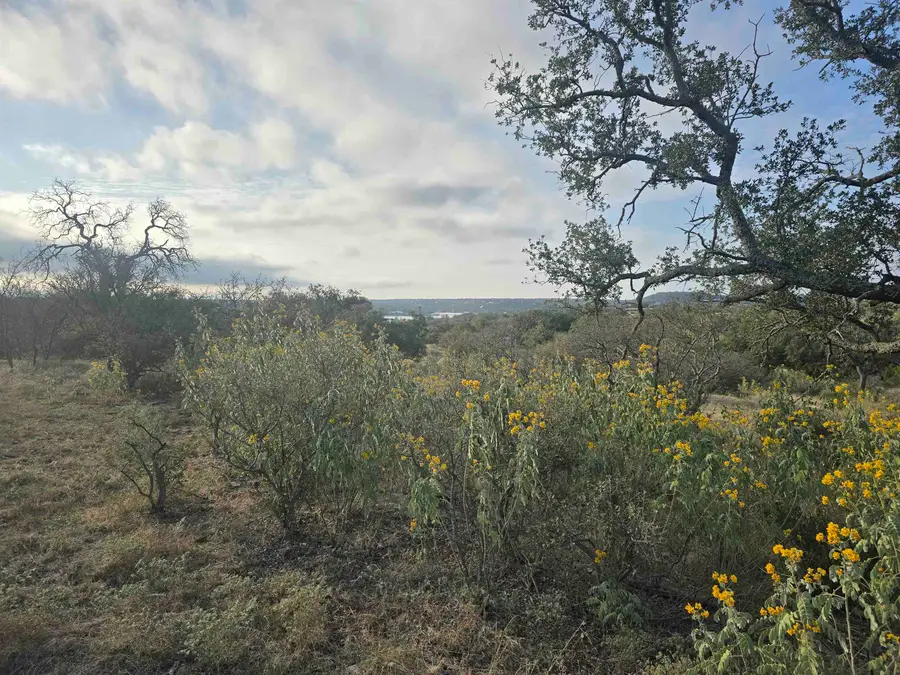 xxxx Wolf Creek Ranch Rd. Drive, Burnet, TX 78611 - Image #3
