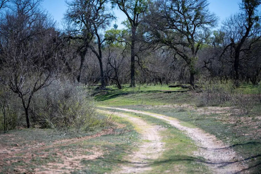 25 Acres Private Road 1789, Bend, TX 76824 - #3