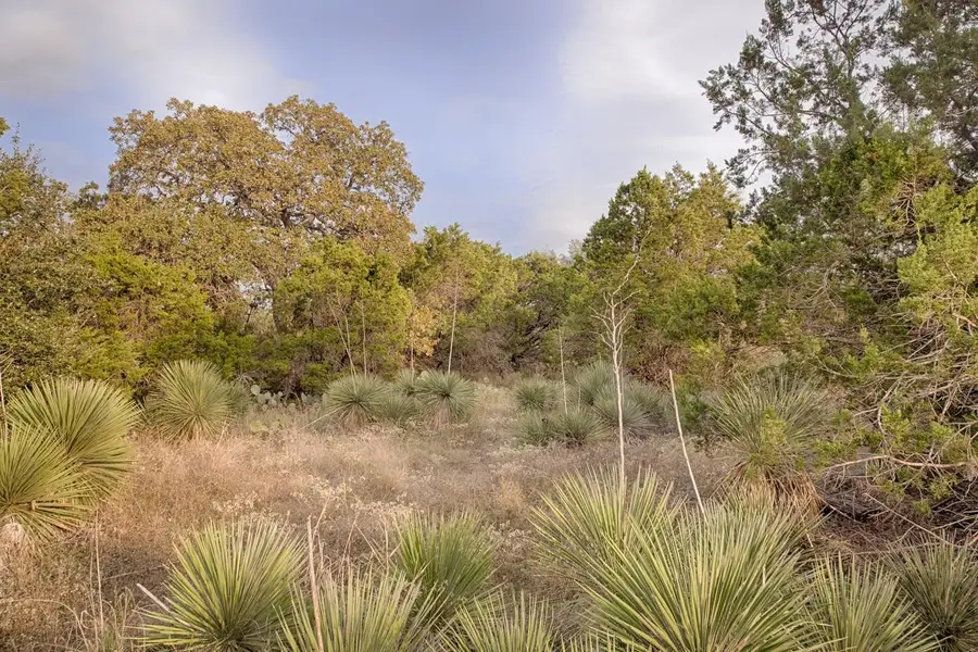 Lots 39 & 40 Clover Street, Kingsland, TX 78639 - Image #2