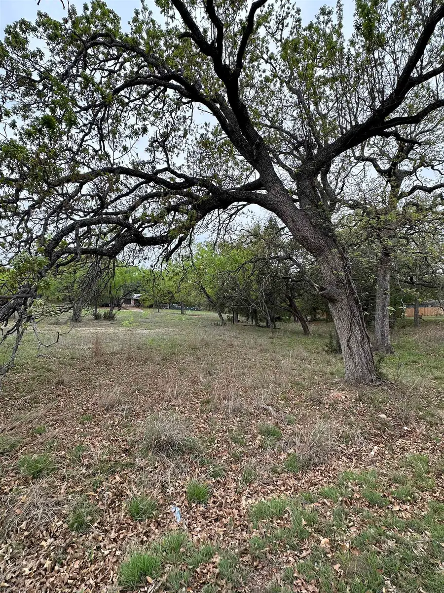Lot 159 Driftwood Ln, Cottonwood Shores, TX 78657 - Image #2
