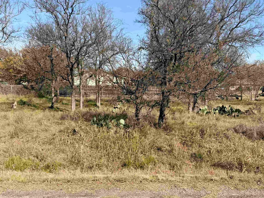 Lot 717-721 E Granite Castle, Granite Shoals, TX 78654 - #2
