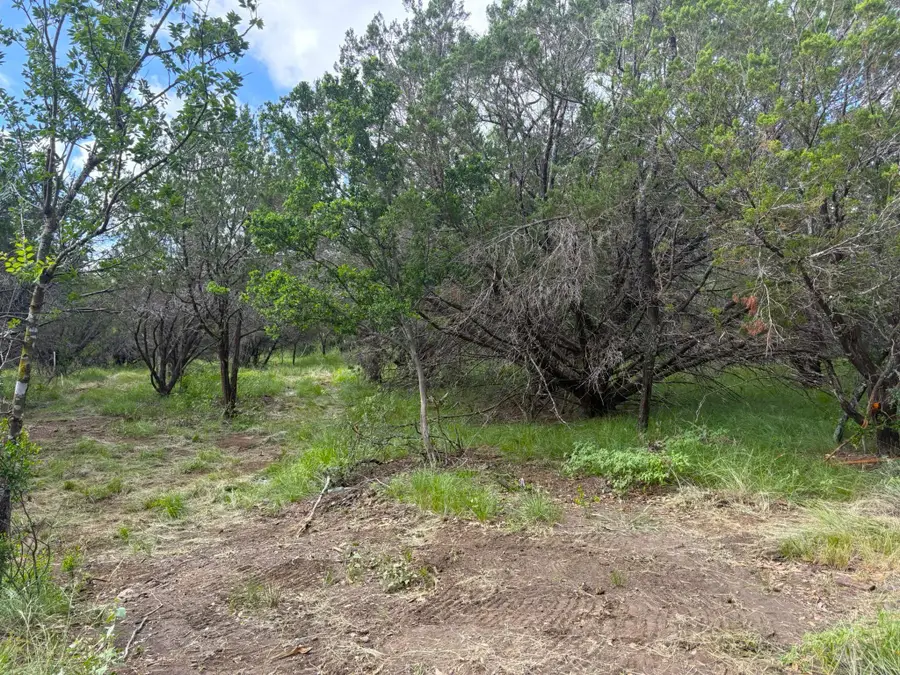 380 Sandy Mountain Dr, Sunrise Beach Village, TX 78643 - Image #3