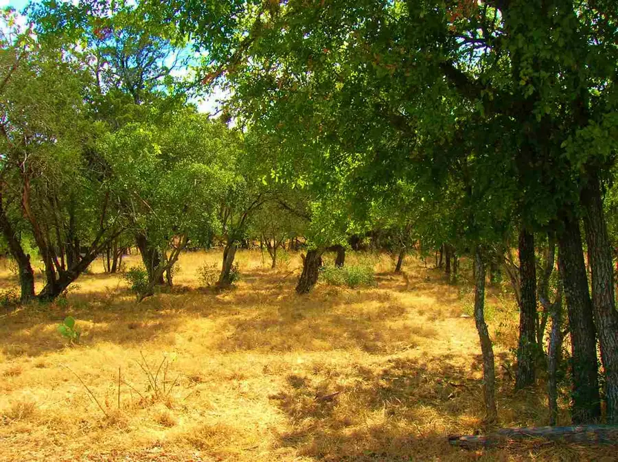 735 Birch (4lots Street To Street) Lane, Cottonwood Shores, TX 78657 - Image #3