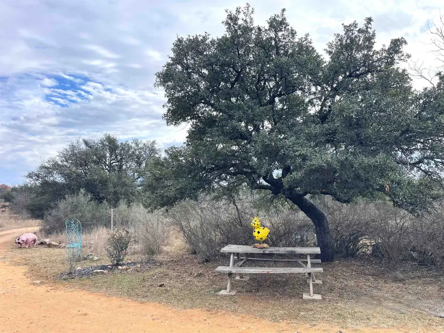 323 Thurman Loop, Llano, TX 78643 - Image #3