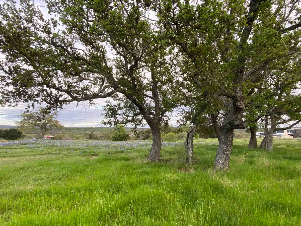 303 S Oak Lane, Burnet, TX 78611 - Image #1