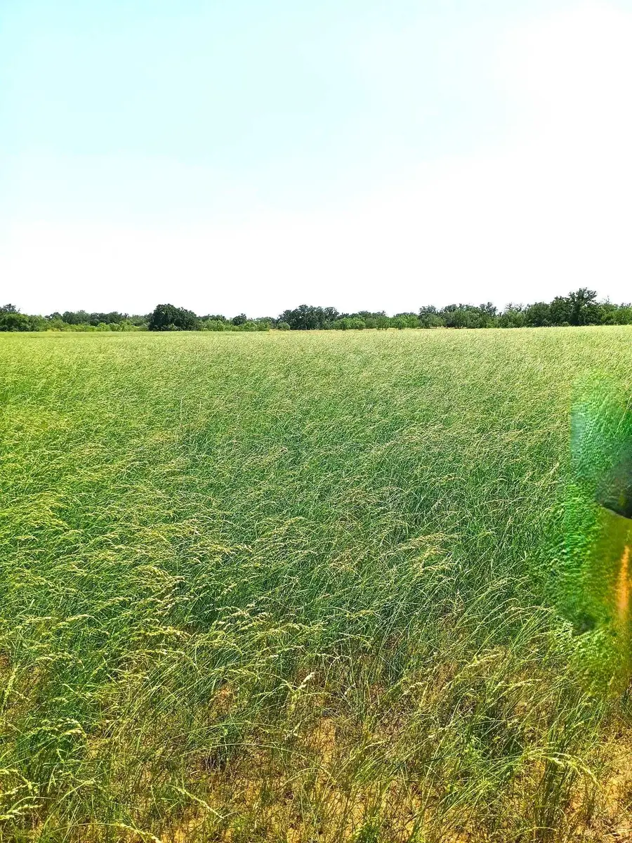 1111 Ranch Road 2768, Llano, TX 78643 - Image #2