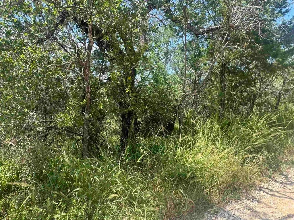 Lots 6 & 8 Solar, Burnet, TX 78611 - Image #1