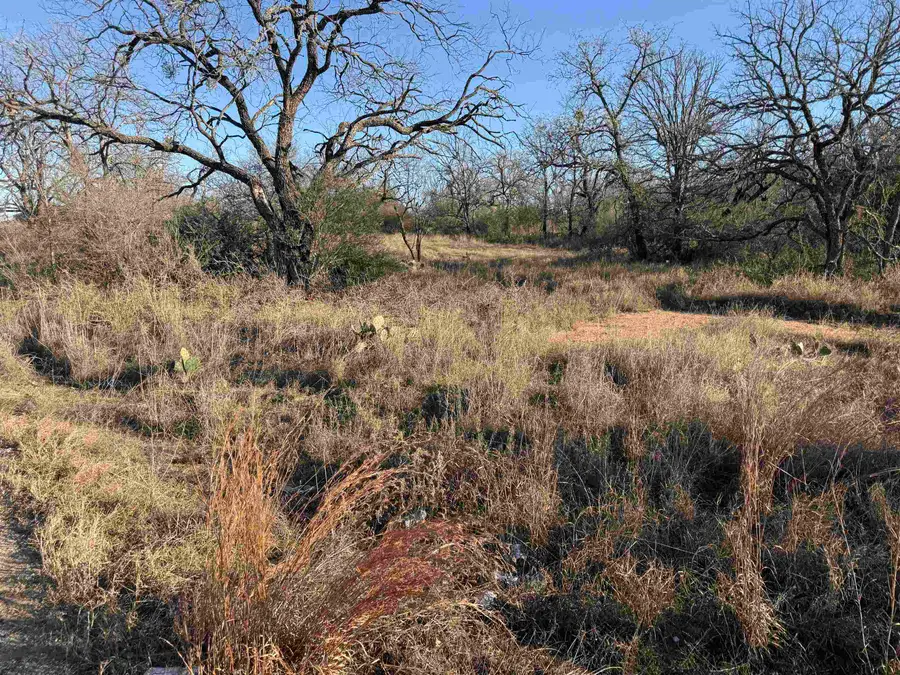 Lot 414 Ridgeway, Kingsland, TX 78639 - Image #2