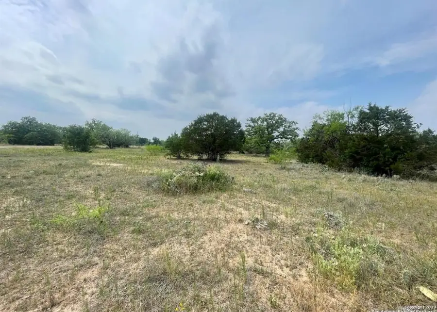 Oak Ridge Trl, Kingsland, TX 78639 - Image #2