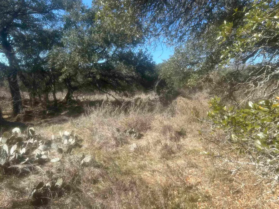 509 E Fm 501 Highway, Cherokee, TX 76832 - Image #3