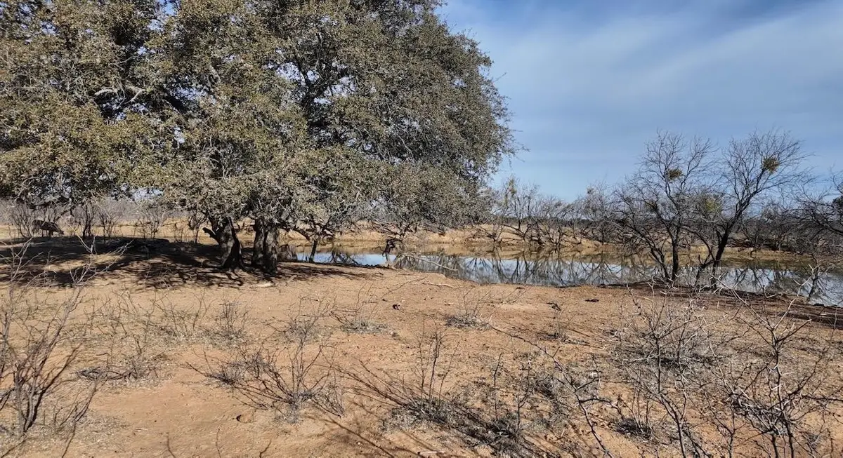 Cr 434, Rochelle, TX 76872 - #1