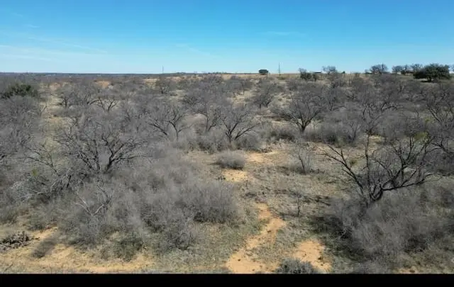 599 Cr 241, Rochelle, TX 76872 - #2