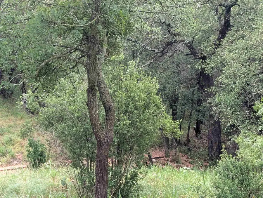 1106 Monterrey Oak Circle, Marble Falls, TX 78654 - #2