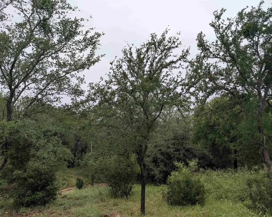 1106 Monterrey Oak Circle, Marble Falls, TX 78654 - #3