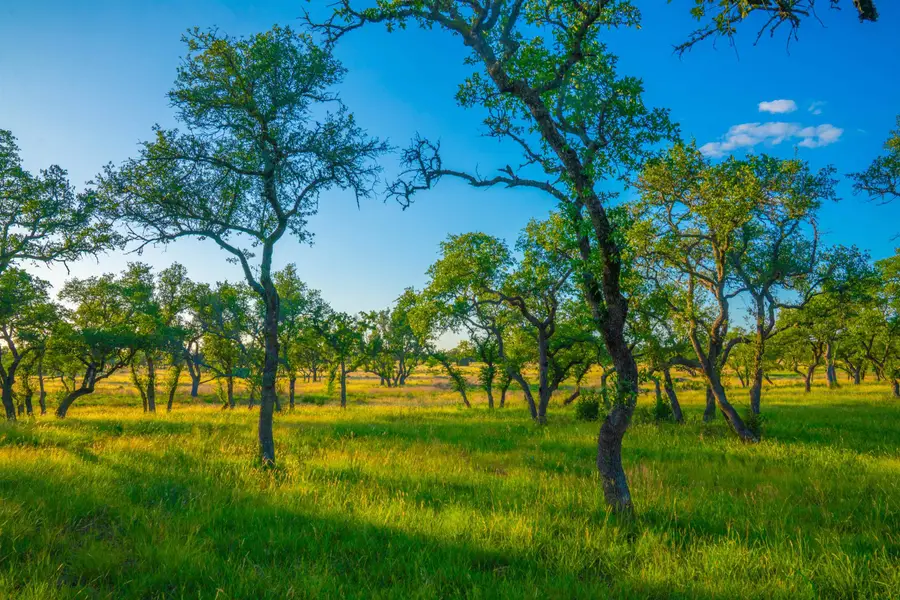 0 Bountiful Oaks, Johnson City, TX 78636 - #3