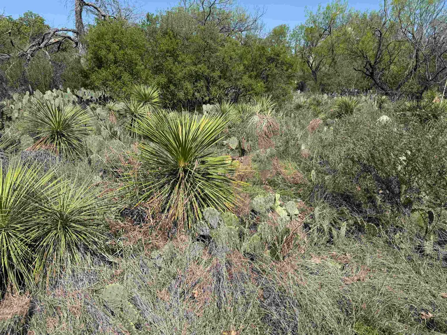 Lots 574,575 Driftwood Drive, Granite Shoals, TX 78654 - #2