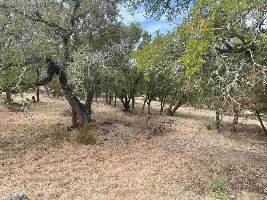 600 Silvermane Street, Horseshoe Bay, TX 78657 - #2