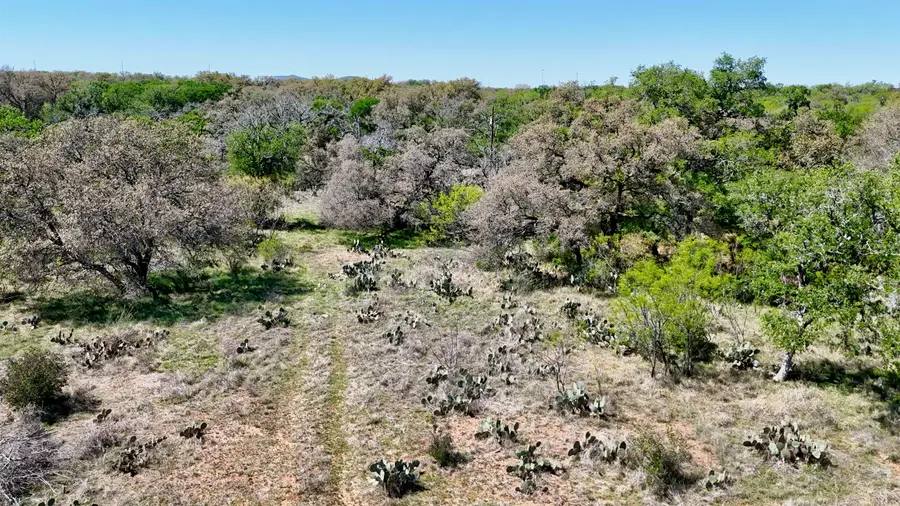 TBD Fm 2233, Llano South, TX 78643 - #2