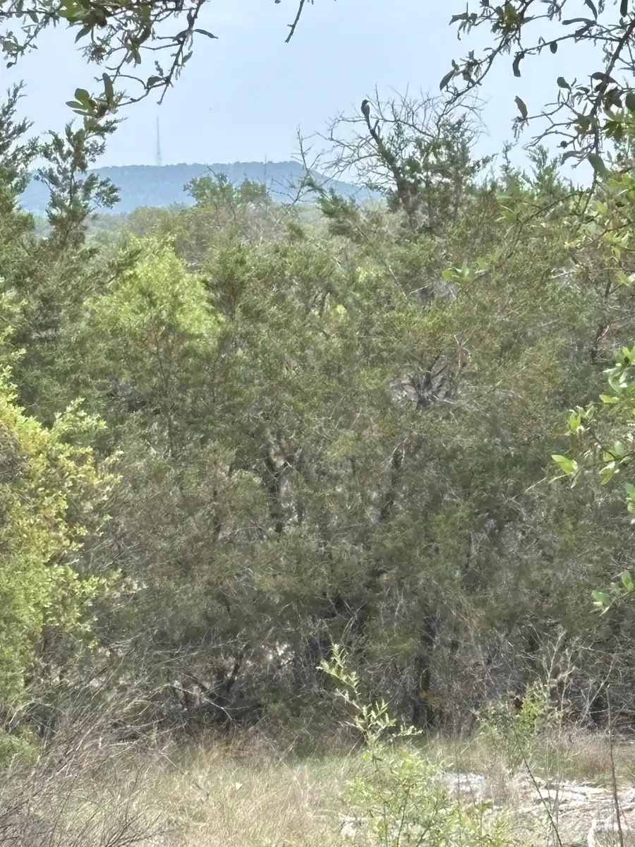 Lot 10 Fox Horn Circle, Marble Falls, TX 78654 - #2