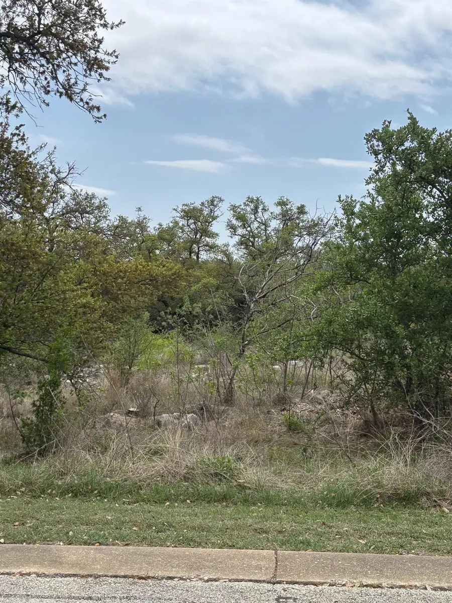 Lot 10 Fox Horn Circle, Marble Falls, TX 78654 - #3