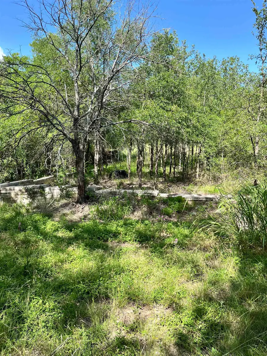 715 Silver North Street, Burnet, TX 78611 - #2