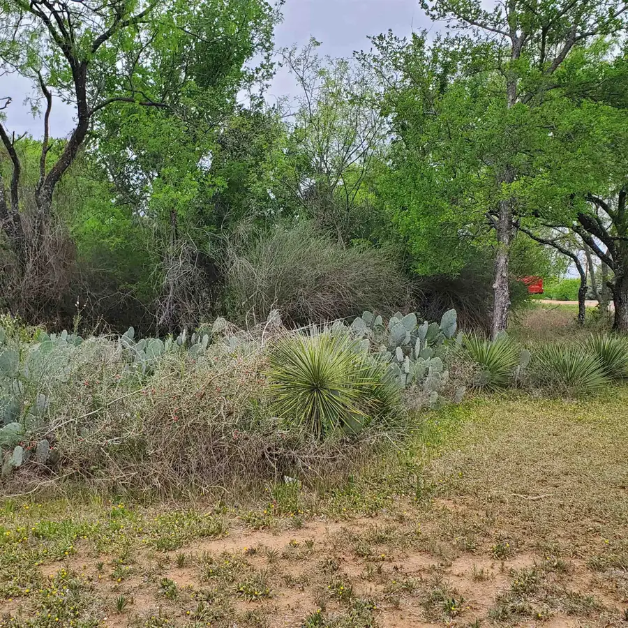 Lot 661 & 662 Norwood Drive, Granite Shoals, TX 78654 - #2