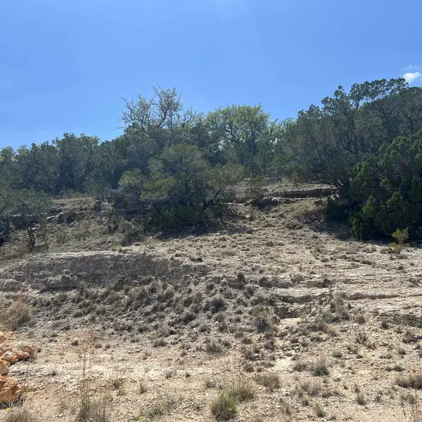 28530 Paradise Manor Drive, Marble Falls, TX 78654