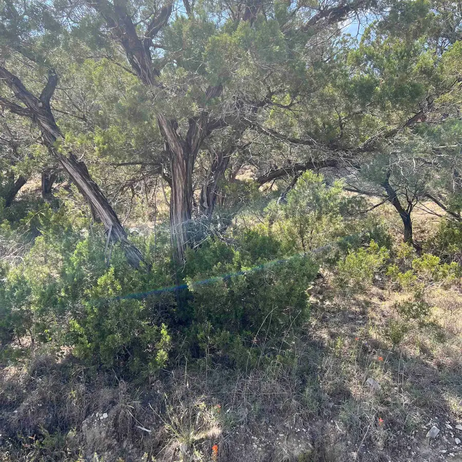 28536 Paradise Manor Drive, Marble Falls, TX 78654 - #2