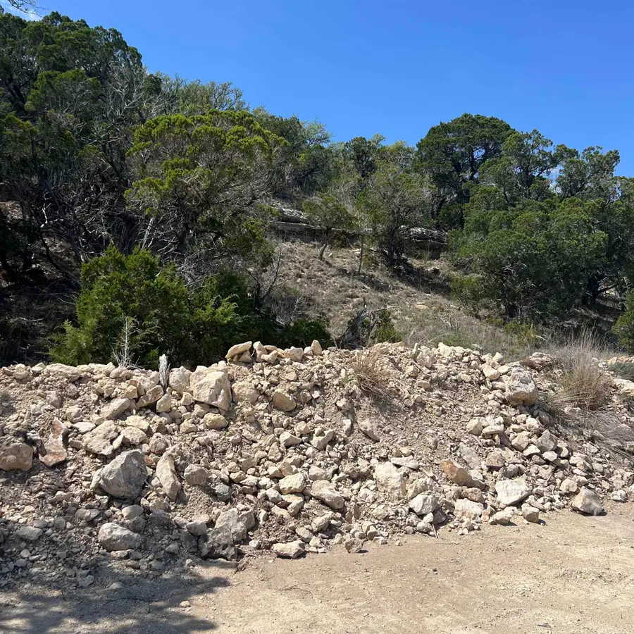 28540 Paradise Manor Drive, Marble Falls, TX 78654 - #2