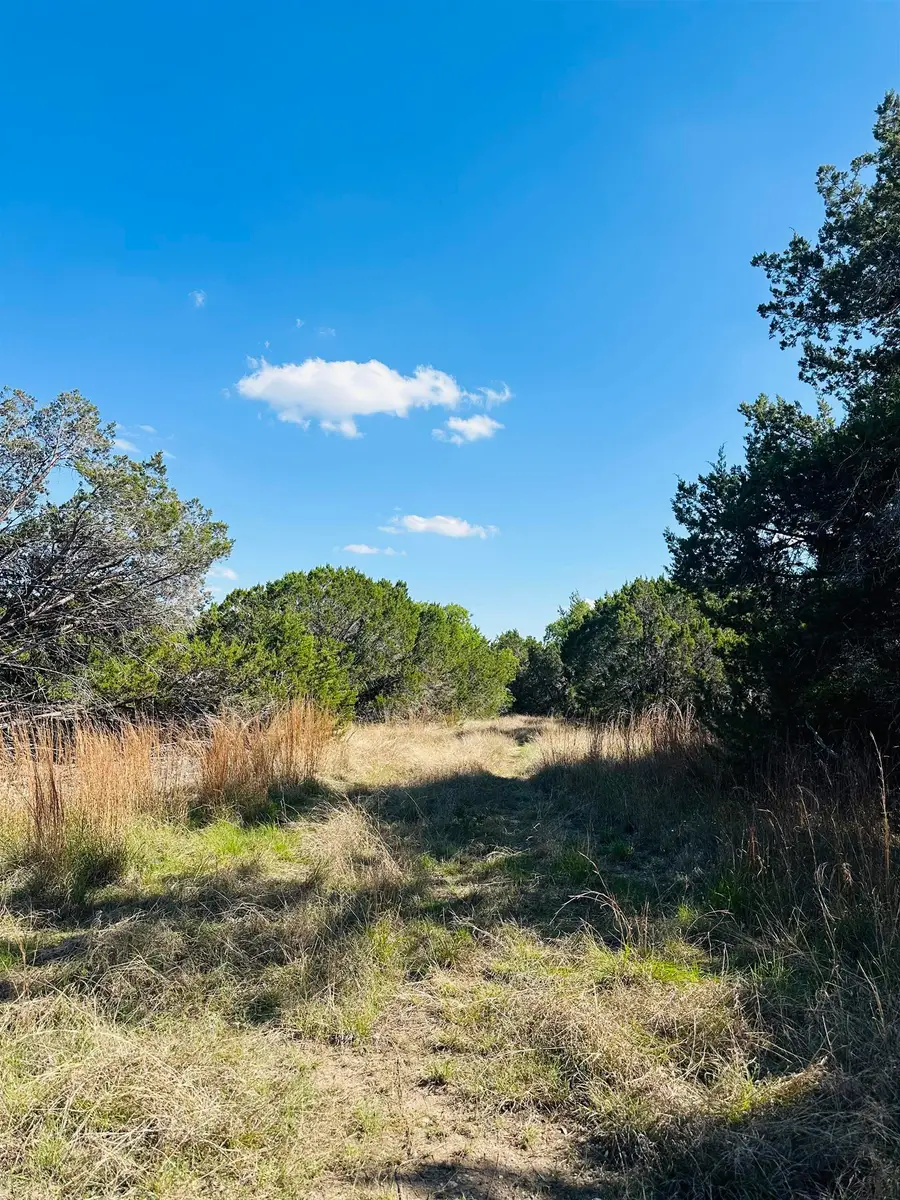 CR 334 & Cr 336, Bertram, TX 78605 - #2
