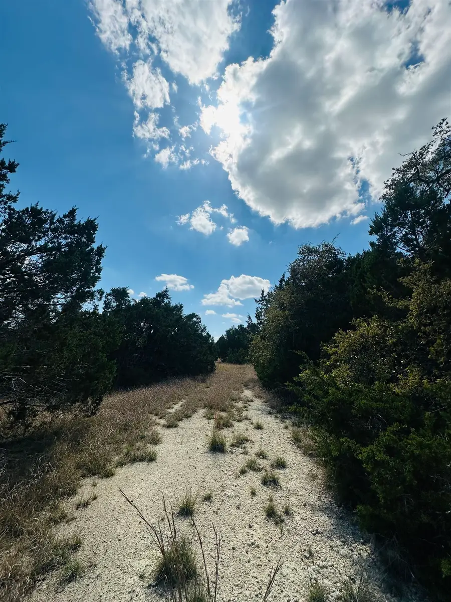 CR 334 & Cr 336, Bertram, TX 78605 - #3