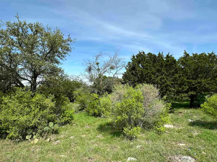 LT 20123 Prairie, Horseshoe Bay, TX 78657 - #3