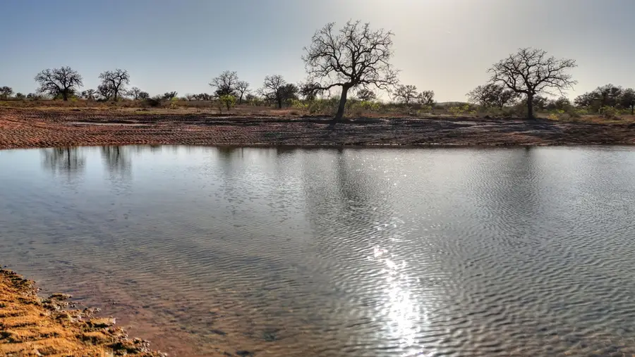 6540 Cr 409, Valley Spring, TX 76885 - #2