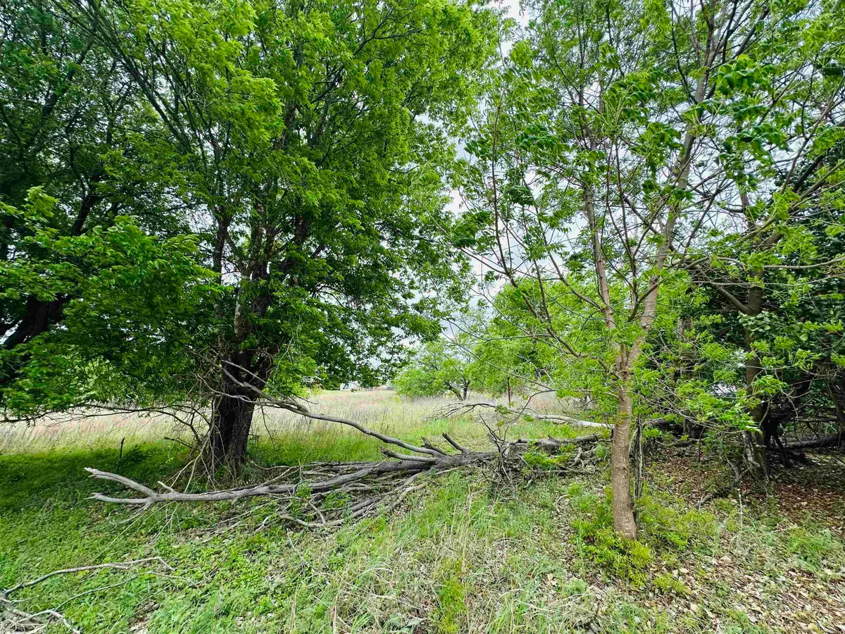 TBD Luckenbach West Street, Llano, TX 78643 - #1